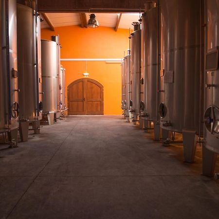 Вилла Tranca Da Barriga - Casa Do Vinho By Quinta De Sao Tiago Ковильян Экстерьер фото
