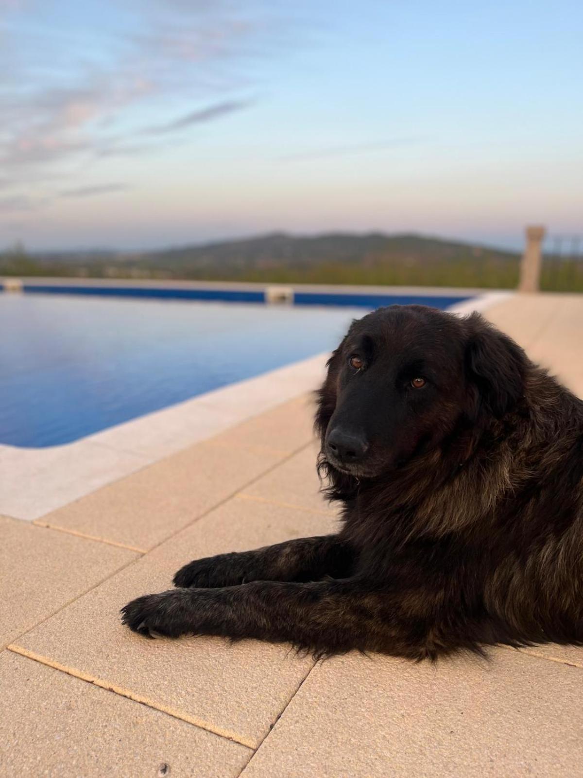 Вилла Tranca Da Barriga - Casa Do Vinho By Quinta De Sao Tiago Ковильян Экстерьер фото